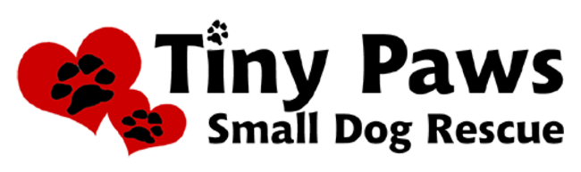tiny paws small dog rescue